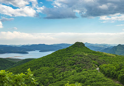 首页- 平博pinnacle888公司官网
